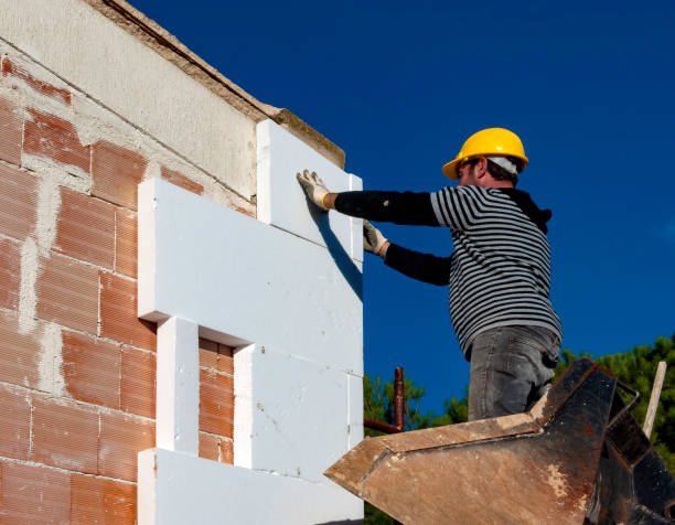 Best Attic Insulation Installation  in Harvey, ND