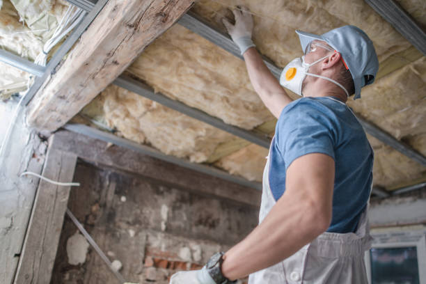 Best Spray Foam Insulation  in Harvey, ND