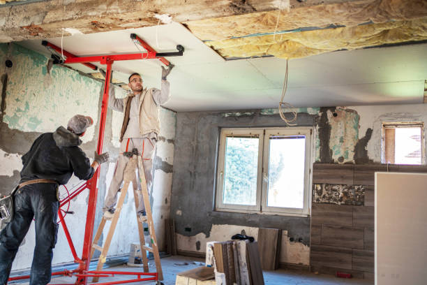 Best Spray Foam Insulation  in Harvey, ND