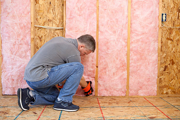 Best Cellulose Insulation  in Harvey, ND