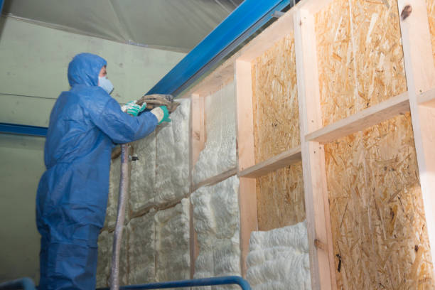 Best Home Insulation Services  in Harvey, ND