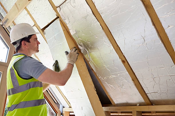 Best Professional Insulation Contractor  in Harvey, ND